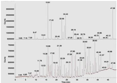 Τ��1946��(�й���)�ٷ���վ