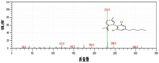 Τ��1946��(�й���)�ٷ���վ