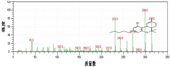 Τ��1946��(�й���)�ٷ���վ
