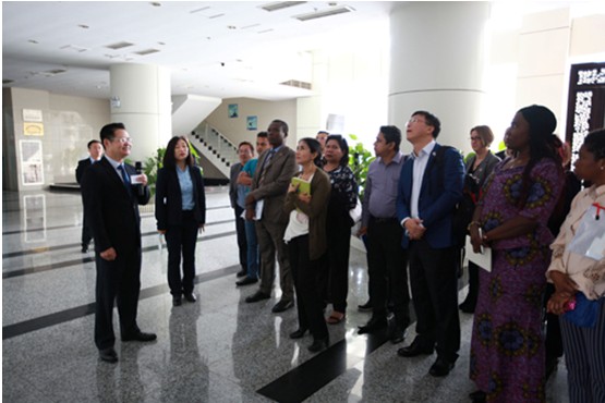 Τ��1946��(�й���)�ٷ���վ