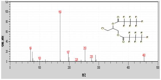 Τ��1946��(�й���)�ٷ���վ
