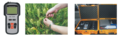 Τ��1946��(�й���)�ٷ���վ